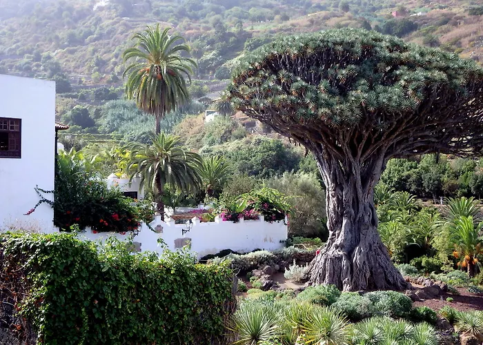 Atlantic View דירה *