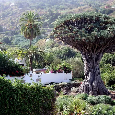 Atlantic View דירה *